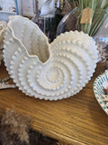 Small/Large Cermaic Decorative Shell Vase