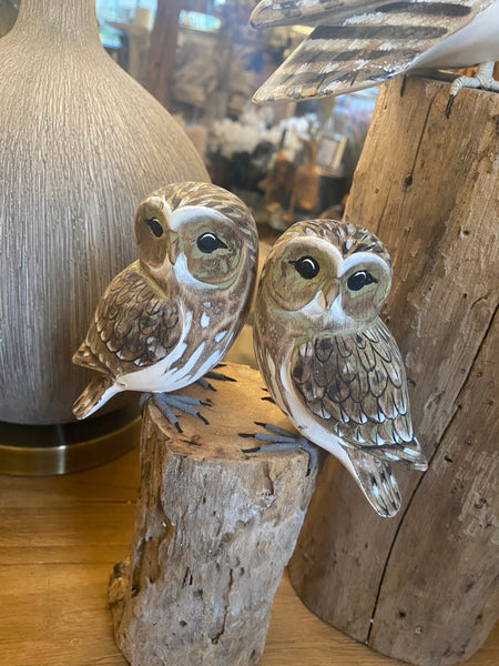 Small Double Owls