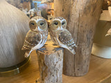 Small Double Owls