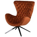 Designer Curved Club Chair